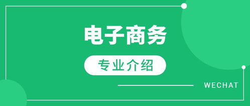 电子商务怎么才可以转专业