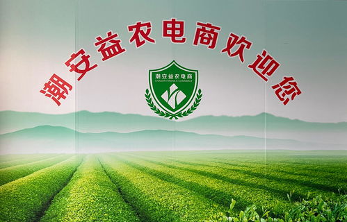 潮州专业电子商务批发价