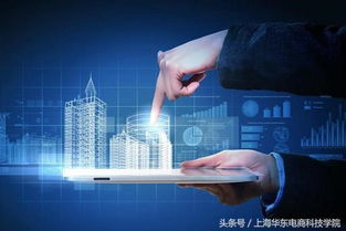 电子商务留学转什么专业好