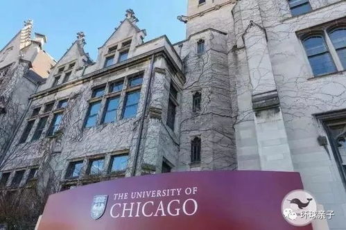 芝加哥大学电子商务专业